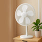 Large Decorative Fan Cover (1 Pc)