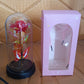 Elegant LED Eternal Rose in Plastic Dome (1 Pc / Battery Not included)
